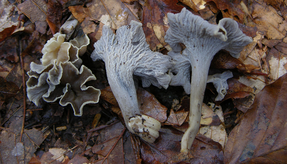 Svuotando l''archivio 2009...parte1